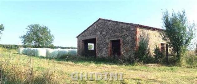 CASALE di 20 vani e di 750 mq (CINIGIANO - S. RITA) rif. 2432.102P - Foto 9