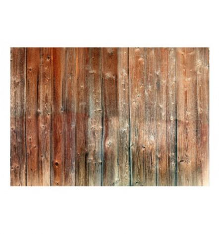 Fotomurale Adesivo Stile Legno Varie Misure ARREDALACASA - Foto 2