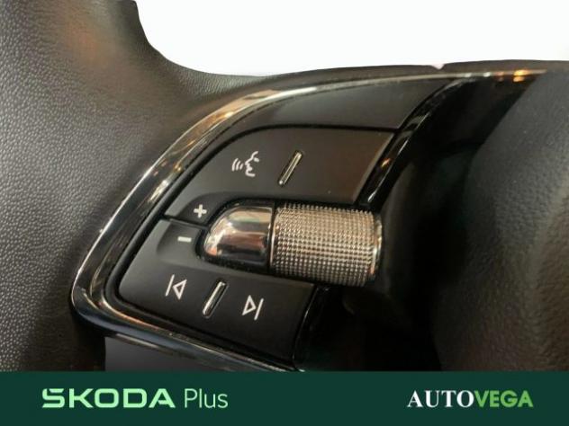 SKODA Karoq 2.0 tdi evo executive 115cv dsg rif. 23500148 - Foto 10