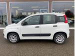 FIAT Panda 1.2 Pop rif. 23149545
