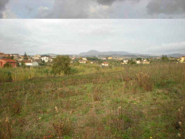 Immobile in asta di 37260 m² in vendita a Ariccia - Foto 3
