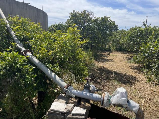 Agricolo in vendita a Motta Sant'Anastasia - Foto 6