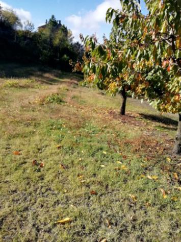 Terreno di 1637 m² in vendita a Val Liona - Foto 4