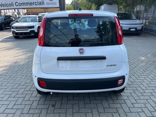 FIAT Panda Panda 1.0 firefly hybrid s&s Icon - Foto 10