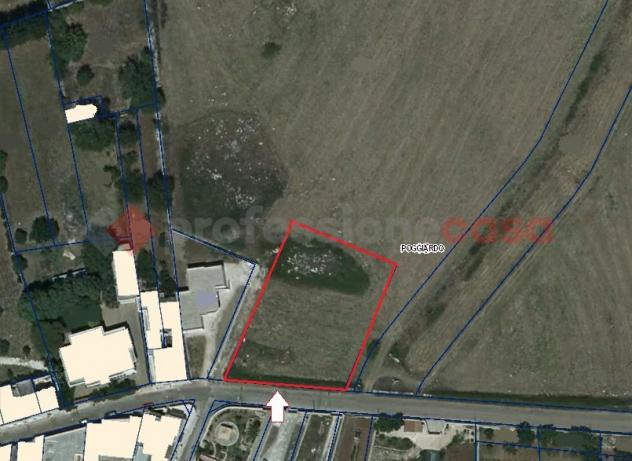 Terreno Residenziale - Poggiardo . Rif.: Pogg210VRG - Foto 6