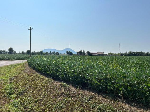 Seminativo in vendita a Castegnero - Foto 11