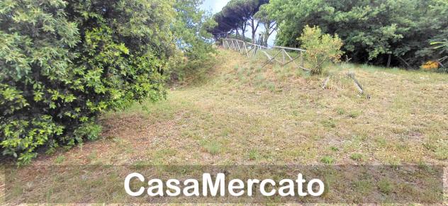 Agricolo in vendita a Rocca di Papa - Foto 12
