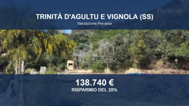 Immobile in asta di 3578 m² in vendita a Trinità d'Agultu e Vignola