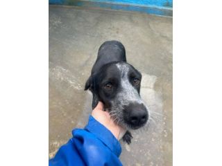 Max è Morgan