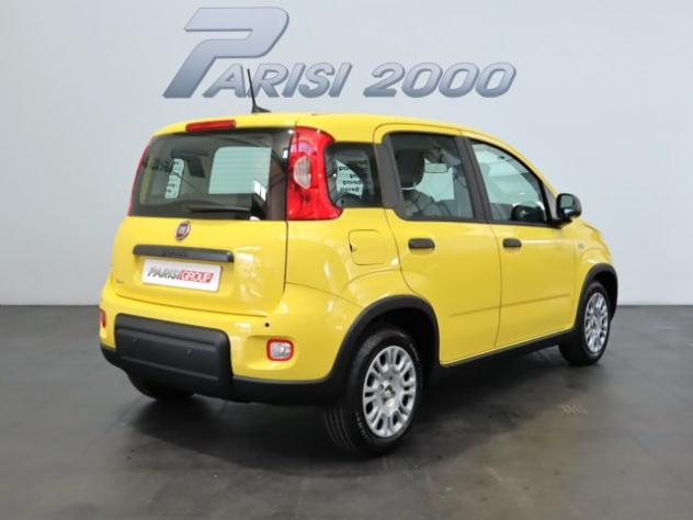 FIAT Panda 1.0 FireFly S&S Hybrid new version 2024 rif. 19560691 - Foto 3