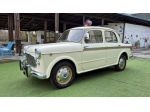 FIAT 1100/103 H Lusso  1959
