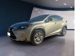 Lexus NX Hybrid 300h Executive 4WD
