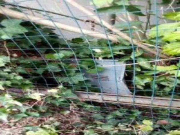 Immobile in asta di 191 m² con più di 5 locali in vendita a Calto - Foto 18