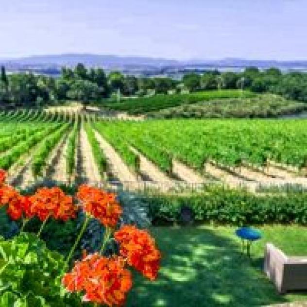 La Fattoria di Magliano S.r.l. Societa' Agricola - Foto 4