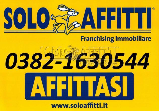Bilocale in affitto a Pavia - Foto 15