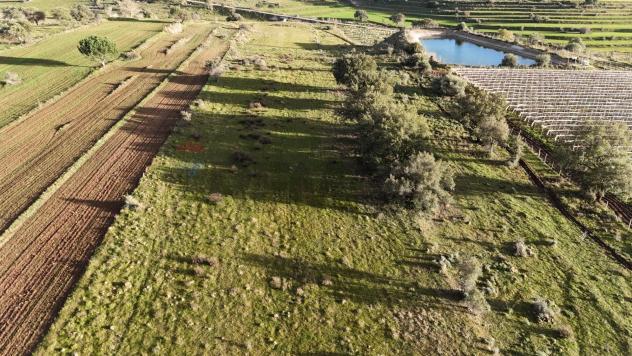 Terreno in vendita a Caltagirone