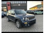 Jeep Renegade 2019 1.3 t4 phev Business Plus 4xe at6
