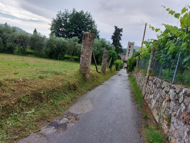 TERRENO AGRICOLO di 10000 mq (CAMAIORE - pieve di camaiore) rif. 1001 - Foto 11