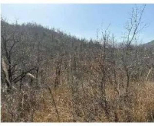 Immobile in asta di 58450 m² in vendita a Civitanova del Sannio - Foto 6