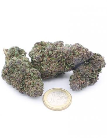 OG Kush - Foto 3