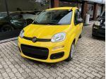 FIAT Panda 1.0 FireFly 70cv S&S Hybrid Pandina Pop