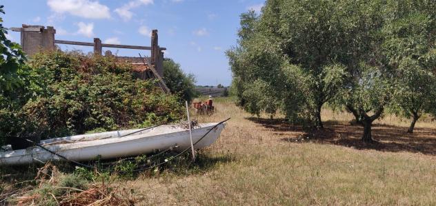 MONTALTO DI CASTRO - OTTIMA OPPORTUNUITA' - Foto 4
