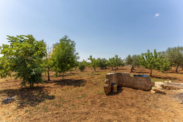 Casale in vendita a Putignano - Foto 4