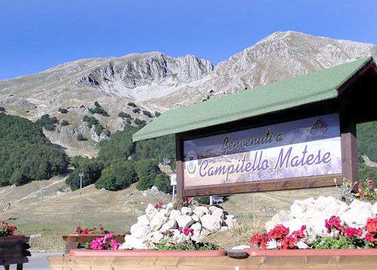 CERCO SOCIO / PARTNER PER PROGETTO TURISTICO, VILLA STORICA NEL PARCO DEL MATESE - Foto 3