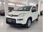 Fiat Panda 1.0 FireFly Aziendale 70cv 51kw