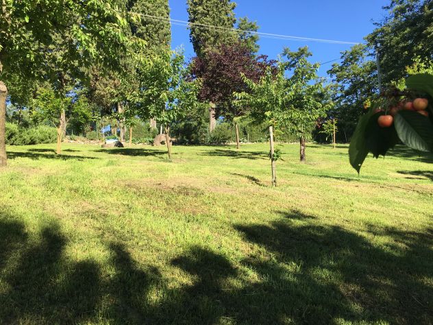Casa vacanze nel verde tra S. Gimignano e Volterra - Foto 8