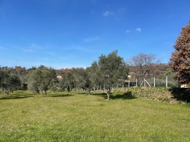 Agricolo in Via della Selva - Foto 2