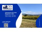 Immobile in asta di 116240 m² in vendita a Montefalco