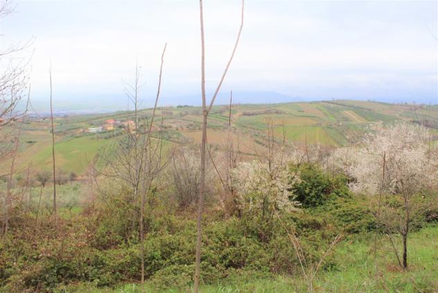 Agricolo in vendita a Mozzagrogna - Foto 2