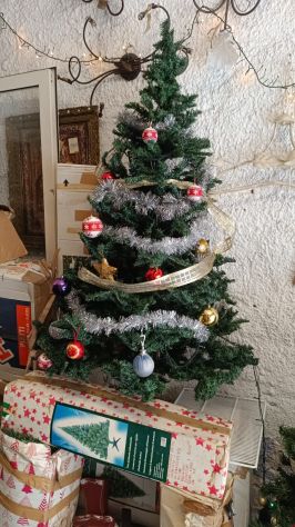 Alberi di Natale – 25268