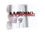 A. R. Intonaci svolgimento lavori di intonaci premiscelati e gessista