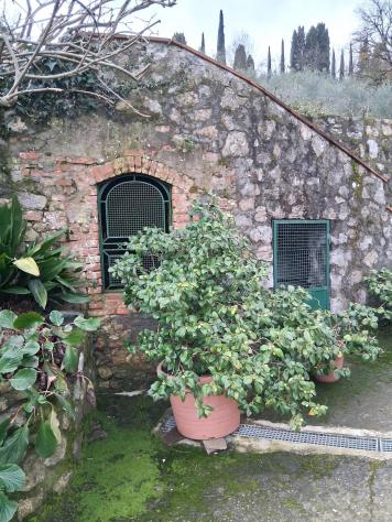 Casa semindipendente in vendita a Lappato - Capannori 187 mq Rif: 1303980 - Foto 5