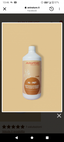 IG-PET Igienizzante superfici e lavatrice lavanda e tea tree flacone da 1 litro