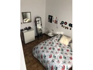 A lavoratrice singola in appartamento zona stadio Bologna