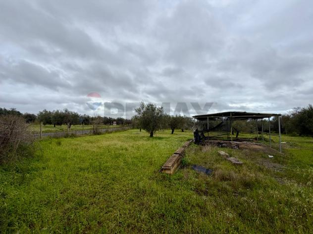 Terreno in vendita a Chiaramonte Gulfi - Foto 5