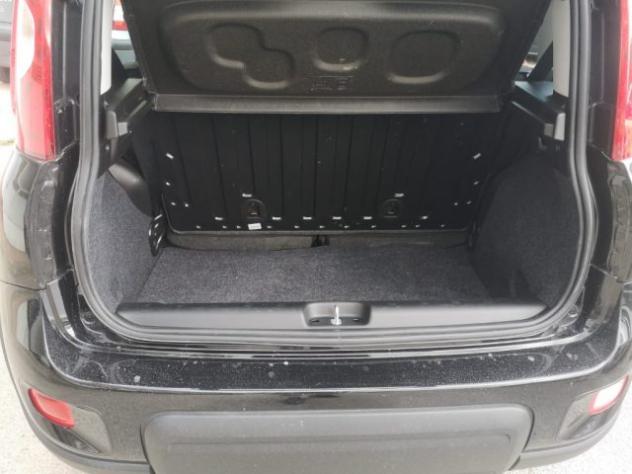 FIAT Panda 1.0 FireFly S&S Hybrid rif. 23745738 - Foto 7