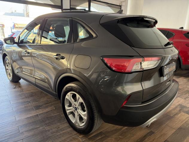 Ford Kuga Kuga 1.5 ecoblue Titanium Business 2wd 120cv - Foto 4