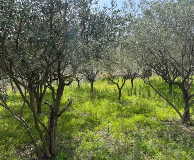 Villa in Via Tirone della Guardia - Foto 2