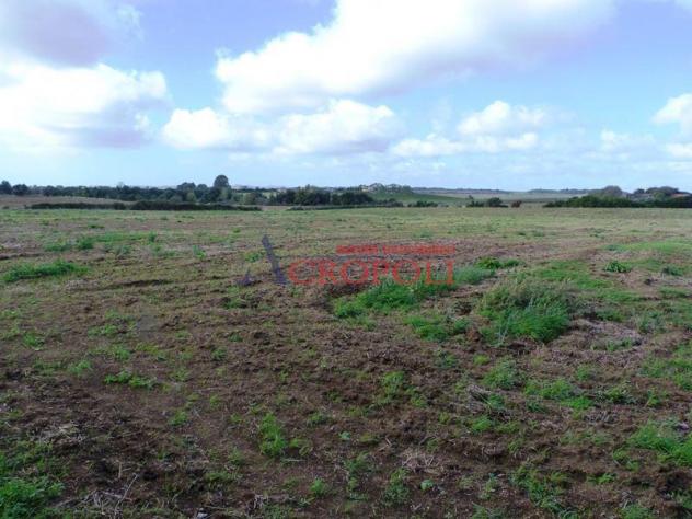 VIA CASALE DI SPANORA - CASA RURALE E TERRENO AGRICOLO IN VENDITA - Foto 9