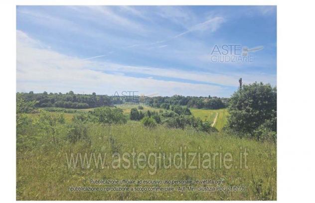 IMMOBILI-ALTRA CATEGORIA-Via Moggia, Fossignano LT, Italia - Foto 4