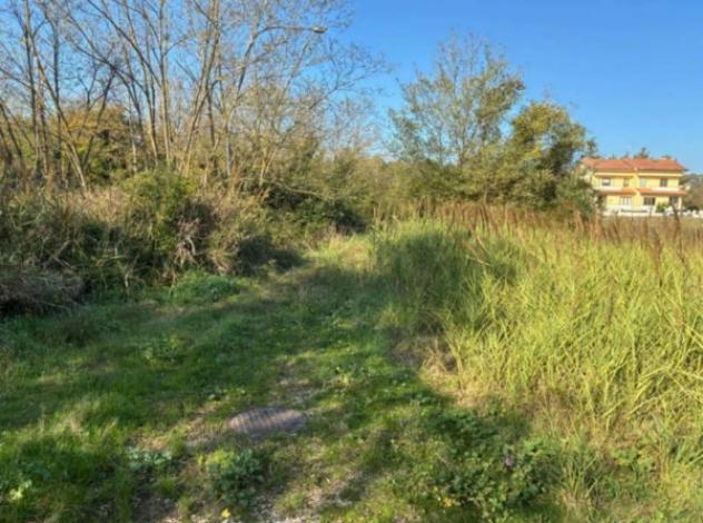Immobile in asta di 5540 m² in vendita a Colli al Metauro - Foto 3