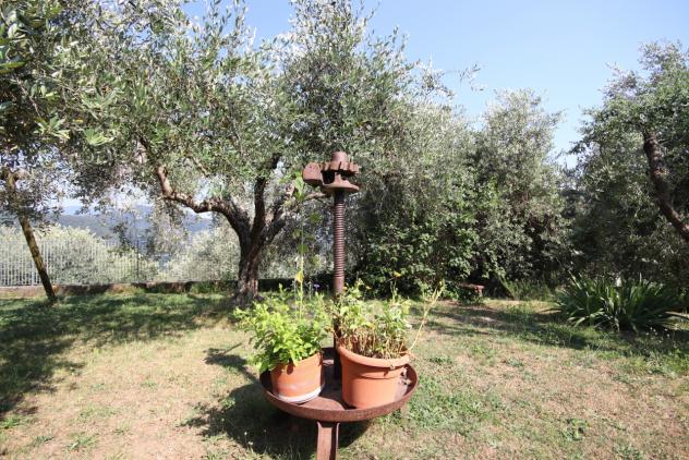 Casale in vendita a Pescaglia - Foto 5