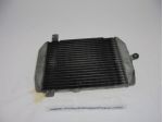 RADIATORE SUZUKI BURGMAN AN 400 I.E. (2004) 1771014G10 RADIATOR