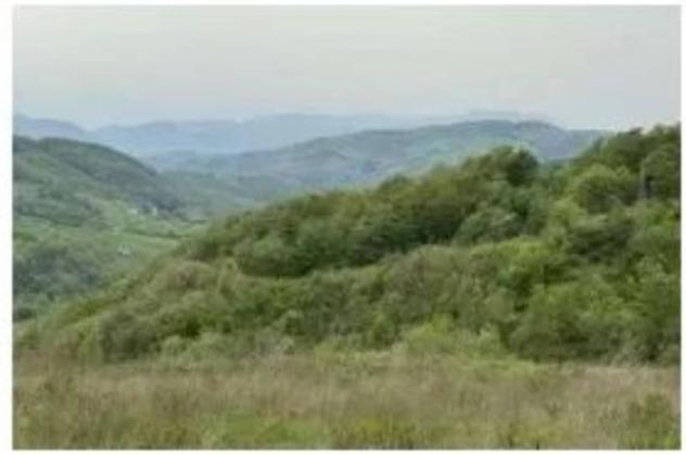 Immobile in asta di 11603 m² in vendita a Ruoti - Foto 8