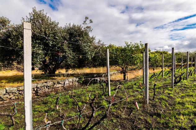 Terreno Edificabile in vendita a Viagrande - Foto 10