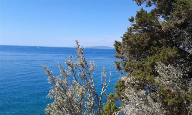 Villa in Vendita in zona PUNTA ALA con giardino - Foto 7